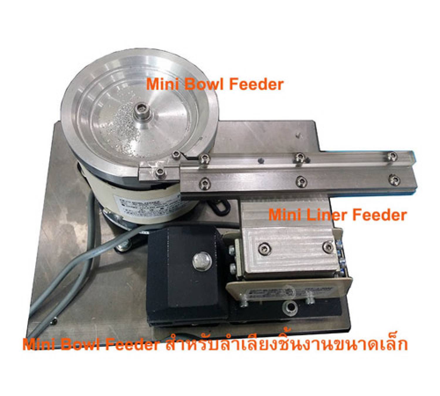  สินค้า Mini Bowl Feeder